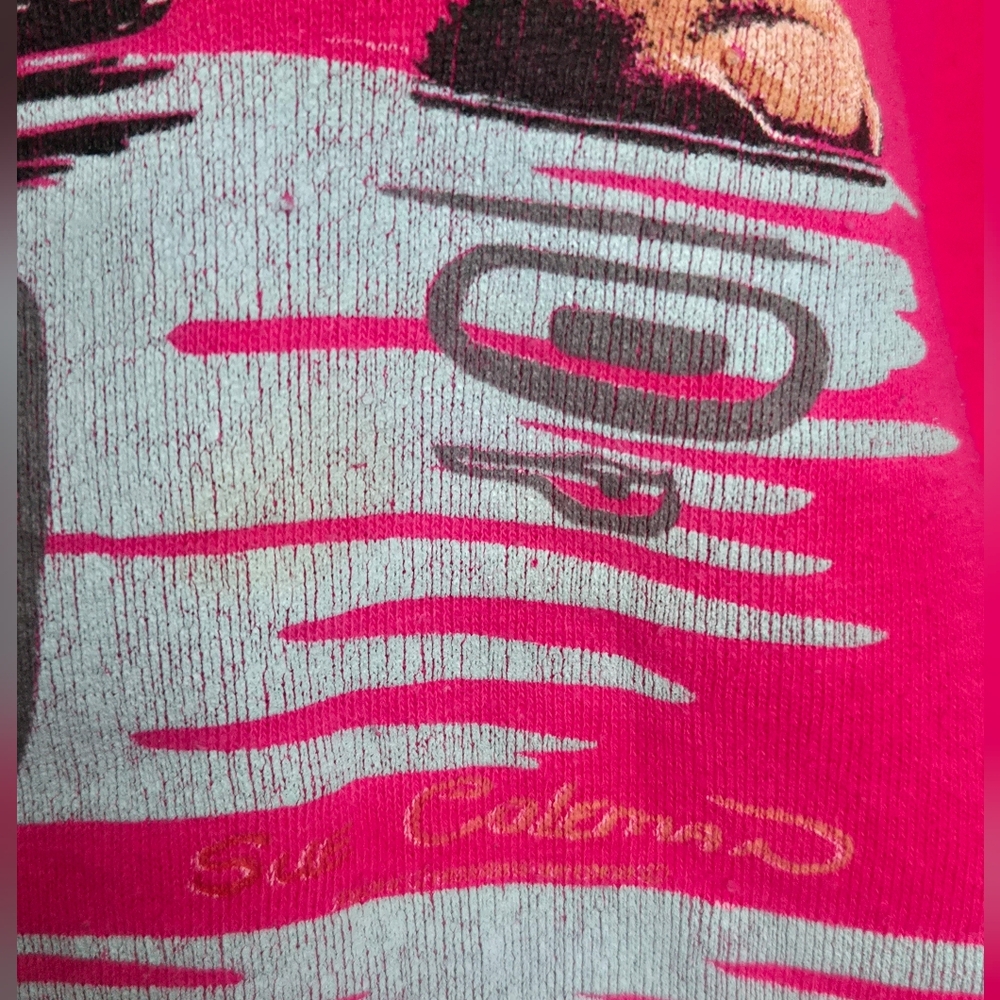 Loon Sweatshirt with Monica Closs Art, Whistler, BC, Canada Pink Graphic, Size M - Picture 5 of 11